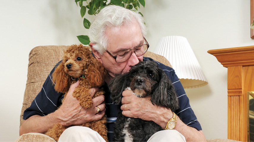 Man hugging two small dogs