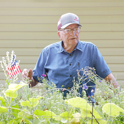 tending the garden